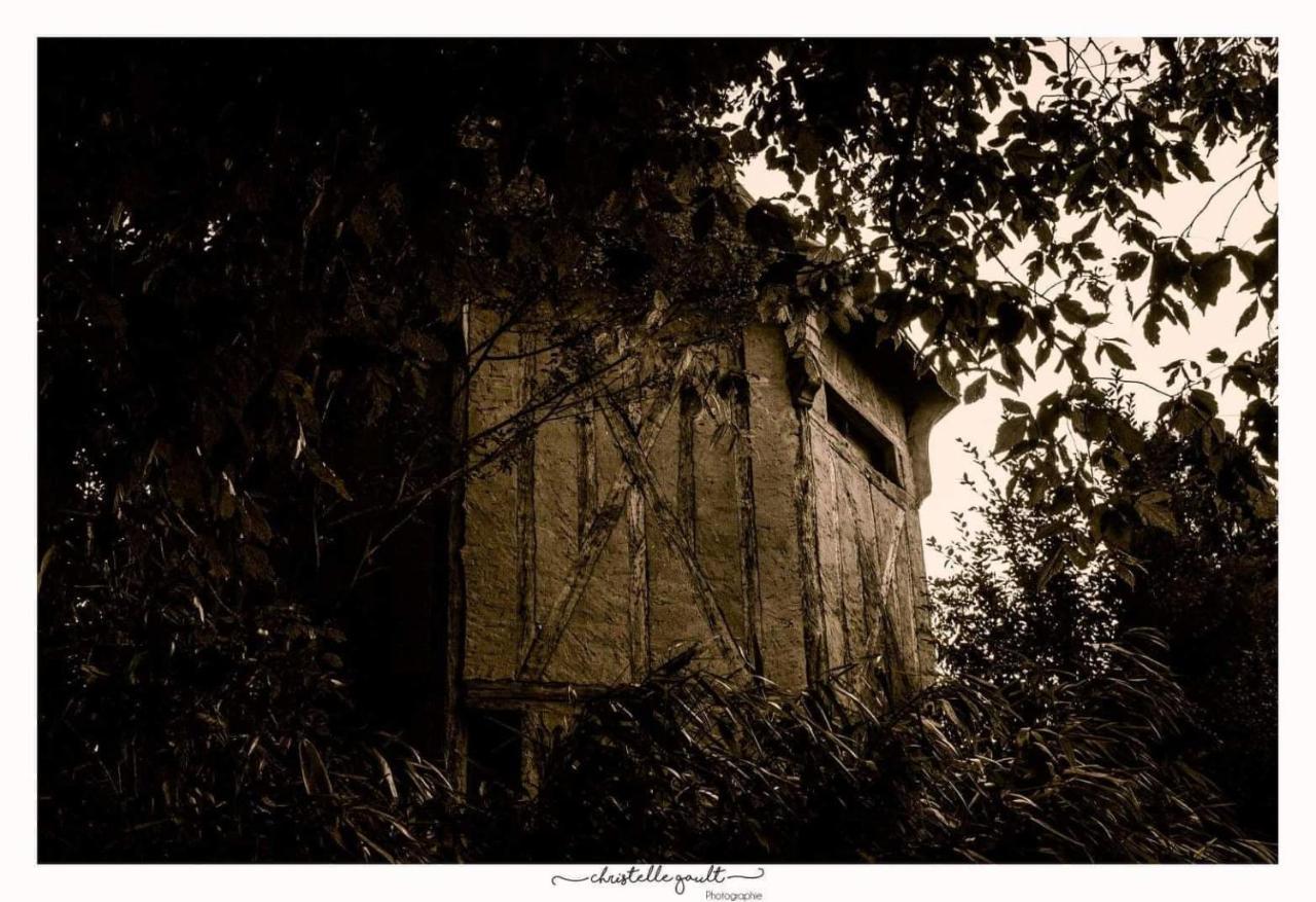 La Cour D'Hortense Sailly-Flibeaucourt Esterno foto